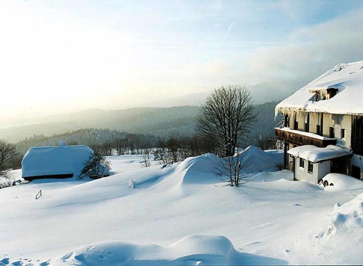 Pension Draxlerhof Neuschoenau Exterior photo
